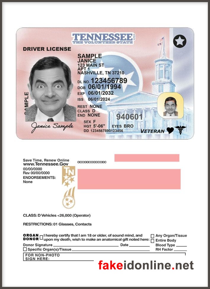 Tennessee Driver License Template